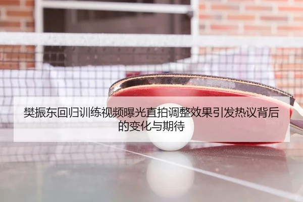 樊振东回归训练视频曝光直拍调整效果引发热议背后的变化与期待