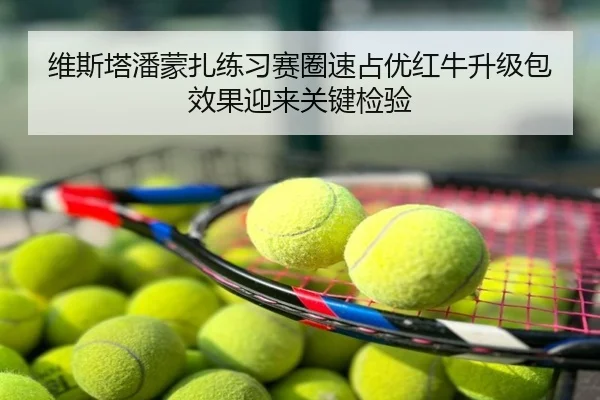 维斯塔潘蒙扎练习赛圈速占优红牛升级包效果迎来关键检验